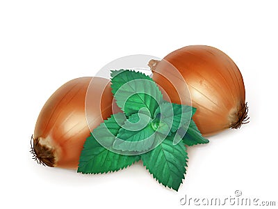 Onion and nettle folk medicine Vector Illustration