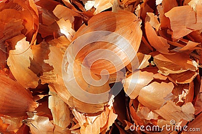 Onion peel Stock Photo