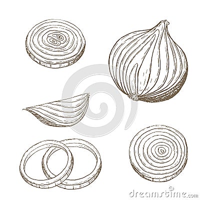 Onion rings set. Vector Illustration