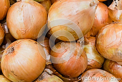 onion for sale Stock Photo