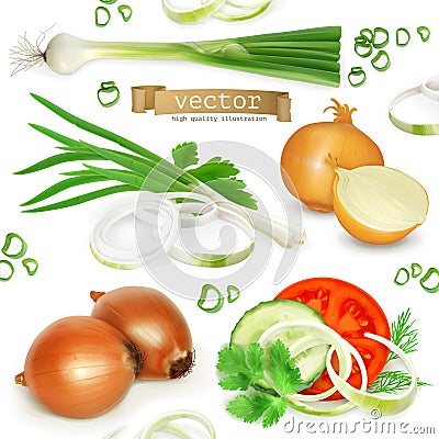 Onion set, realistic vector icons Vector Illustration