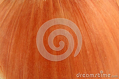 Onion skin macro background Stock Photo