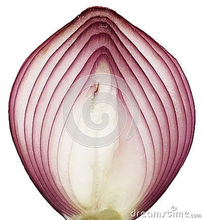 Onion slice Stock Photo