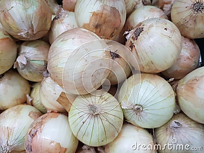 The onion is to be preserved with wine and then soaked for a month, then use the water to soak for facial treatment. Stock Photo