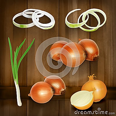 Onion vector icons Vector Illustration