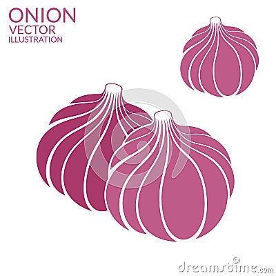 Onion Vector Illustration