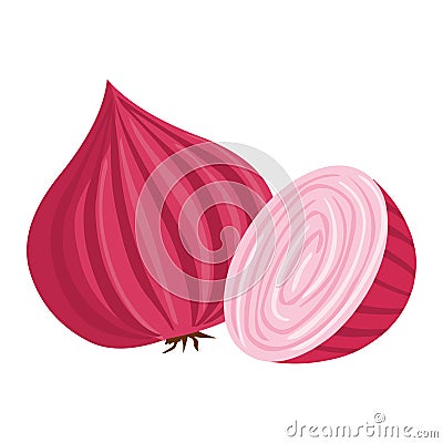 Onion vector.Onion illustration Vector Illustration