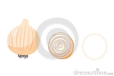 Onion. Vector set in cartoon style. Isolated vegetables Stock Photo