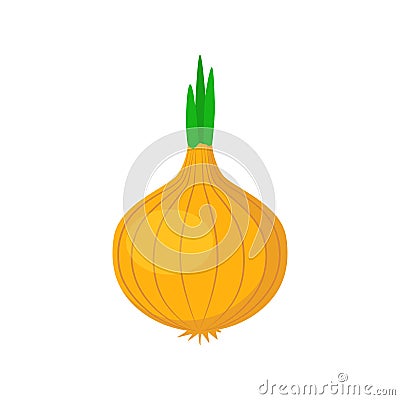 Onion vegetable clipart simple icon. Onion cartoon. Vector Illustration