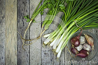 Onion welsh, onion, garlic and coriander on wood plank Stock Photo