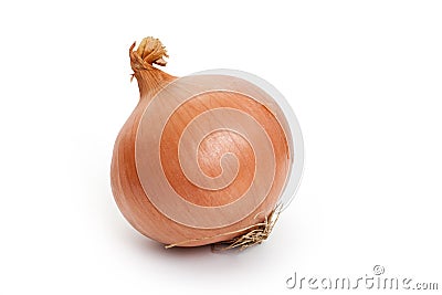 Onion Stock Photo