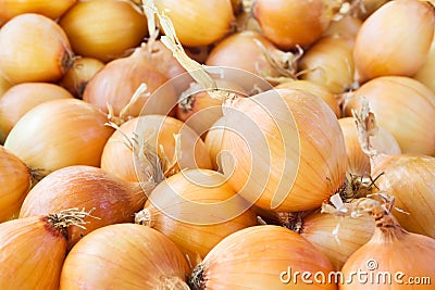 Onions Stock Photo