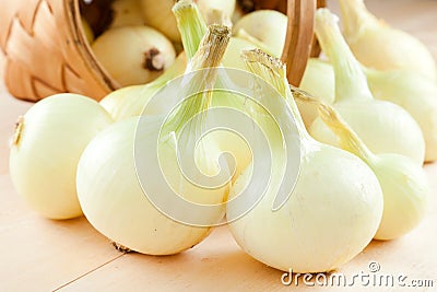 Onions Stock Photo