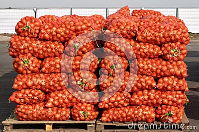 Onions in bags Stock Photo