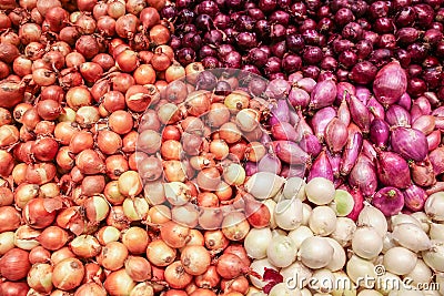 onions Stock Photo