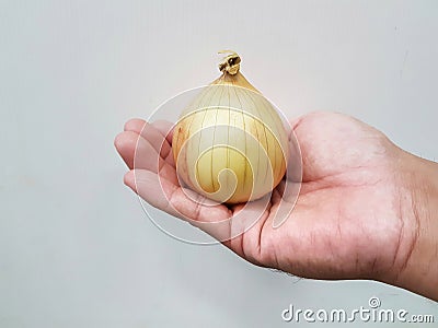 Onions on the hands white background Stock Photo