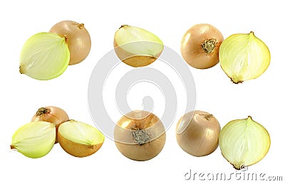 Onions isolated bulb collection Stock Photo