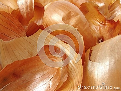 Onions peels Stock Photo