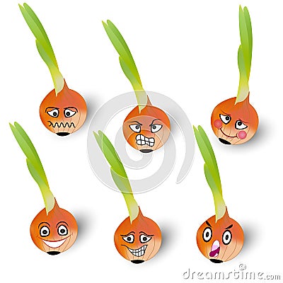 Onions Vector Illustration