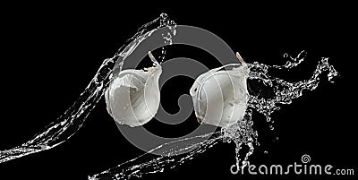 Onions in water streams Stock Photo