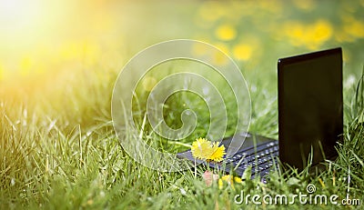 Online learning, e-learning summer concept, laptop in the grass Stock Photo