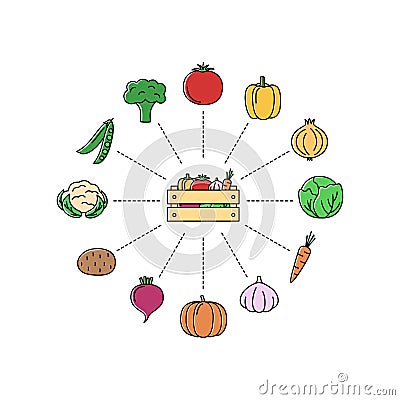 Online store with vegetables. Shopping concept, vector illustration Vector Illustration