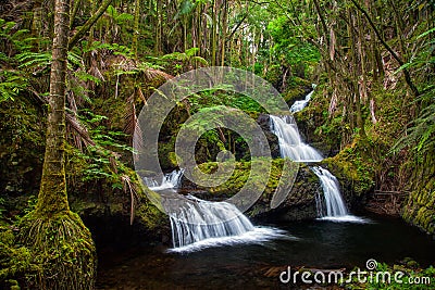 Onomea Falls in Hawaii Stock Photo