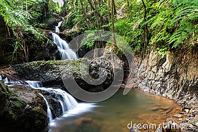 Onomea waterfall, Hawaiian Tropical Botanical Garden, Hili, Hawaii. Surrounded by tropical forest, pool and rocks below. Stock Photo
