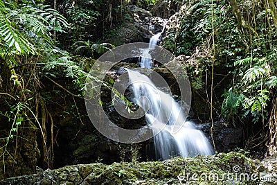 Onomea waterfall, Hawaiian Tropical Botanical Garden, Hili, Hawaii. Surrounded by tropical forest, pool and rocks below. Stock Photo