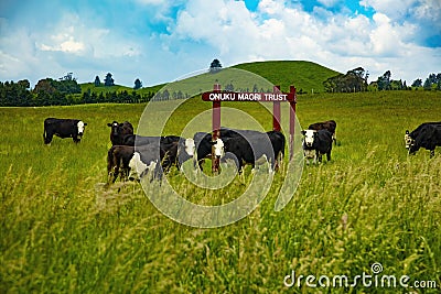 Onuku Maori Lands Trust Editorial Stock Photo