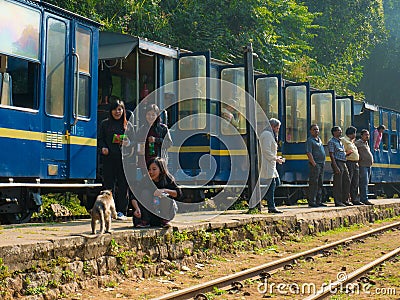 Girls feed monkeys in Nilgiri, near the train, Tamil Nadu, India Editorial Stock Photo