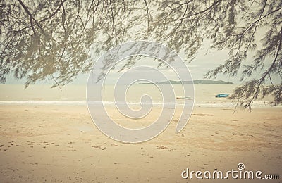 Open beach with leaves framed Stock Photo