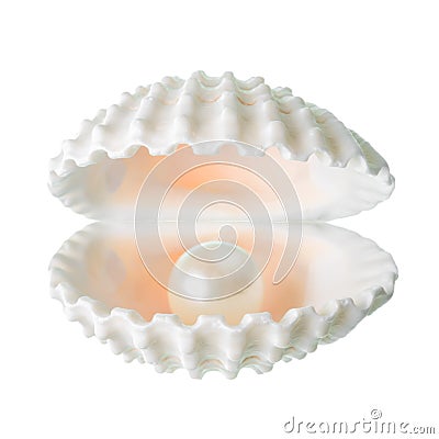 Open beautiful soft white cockleshell with pearl is isolated on Stock Photo