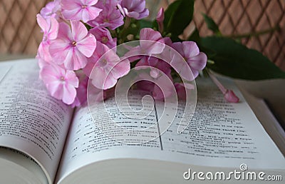 Open Bible and lilac flowers Stock Photo