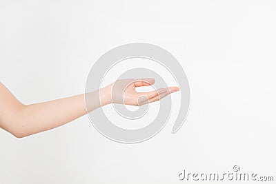 Open a black woman`s hand, palm up isolated on white background.Front view. Mock up. Copy space. Template. Blank. Stock Photo