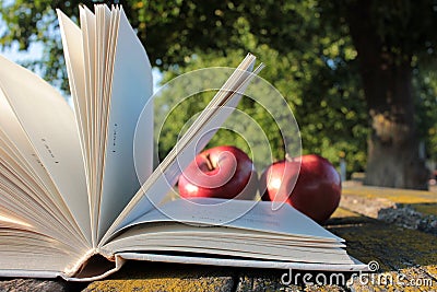 Open book and apples. Outdoor picnic. Ripe juicy red apples on old wooden table with moss in sunny day outdoors against green tree Stock Photo