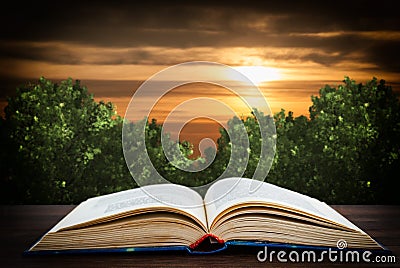 Open book on the background of the night sky Stock Photo