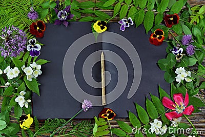 Open book with black pages, herbs and summer flowers on green witch table Stock Photo