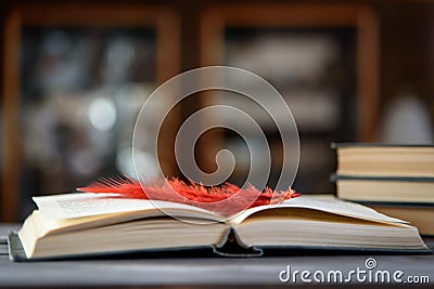 Open book with a bookmark on a wooden table. Stock Photo
