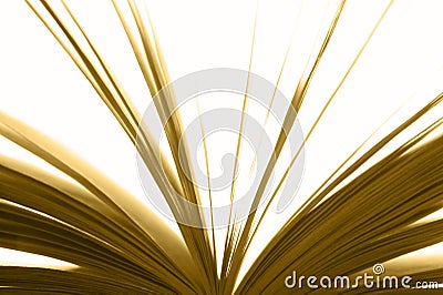 Open book detail with sheets in warm tone Stock Photo