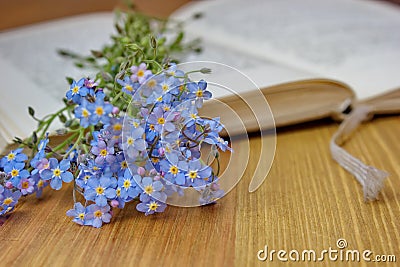 Open book with forget me nots Stock Photo
