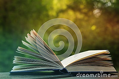 Open book in the garden Stock Photo
