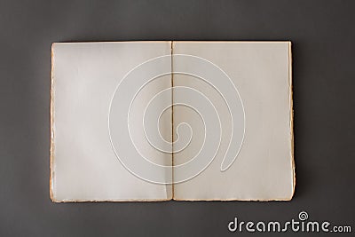 Open Book on Gray Backdrop Stock Photo
