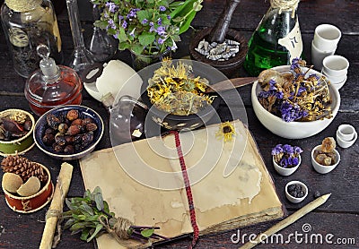 Open book with herbs, berries and flowers on witch table Stock Photo