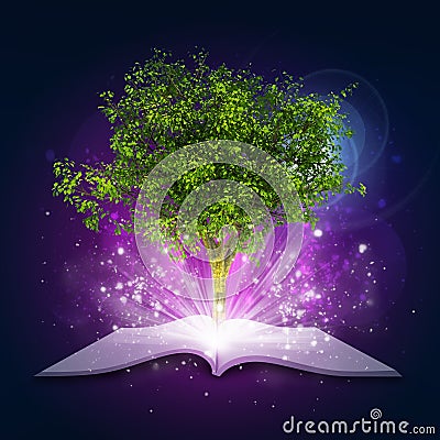Open book with magical green tree and rays of Stock Photo