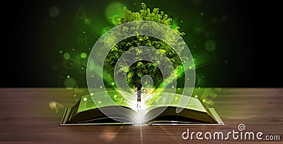 Open book with magical green tree and rays of light Stock Photo