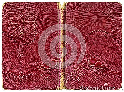 Open book or notebook - tattered vintage cover with artificial lizard leather Stock Photo