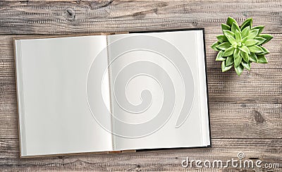 Open book succulent wooden background Minimal flat lay Stock Photo