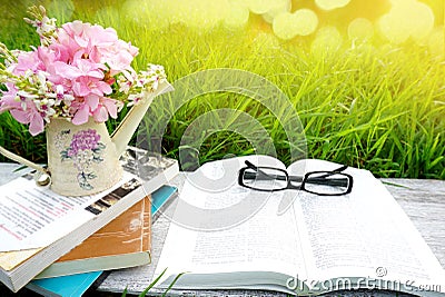 Open book, sunglasses,books,pink flower over nature green grass background Stock Photo