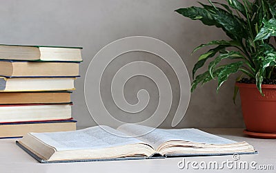 Open book, textbook on the table in the interior. Stock Photo